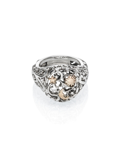 copy of Polvere di stelle band ring gold9kt&silver