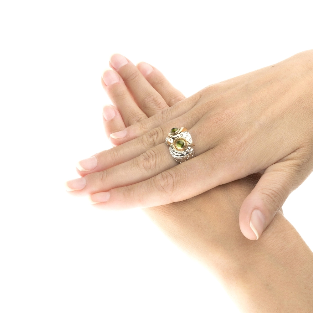 Civetta basic new silver& gold9kt 2